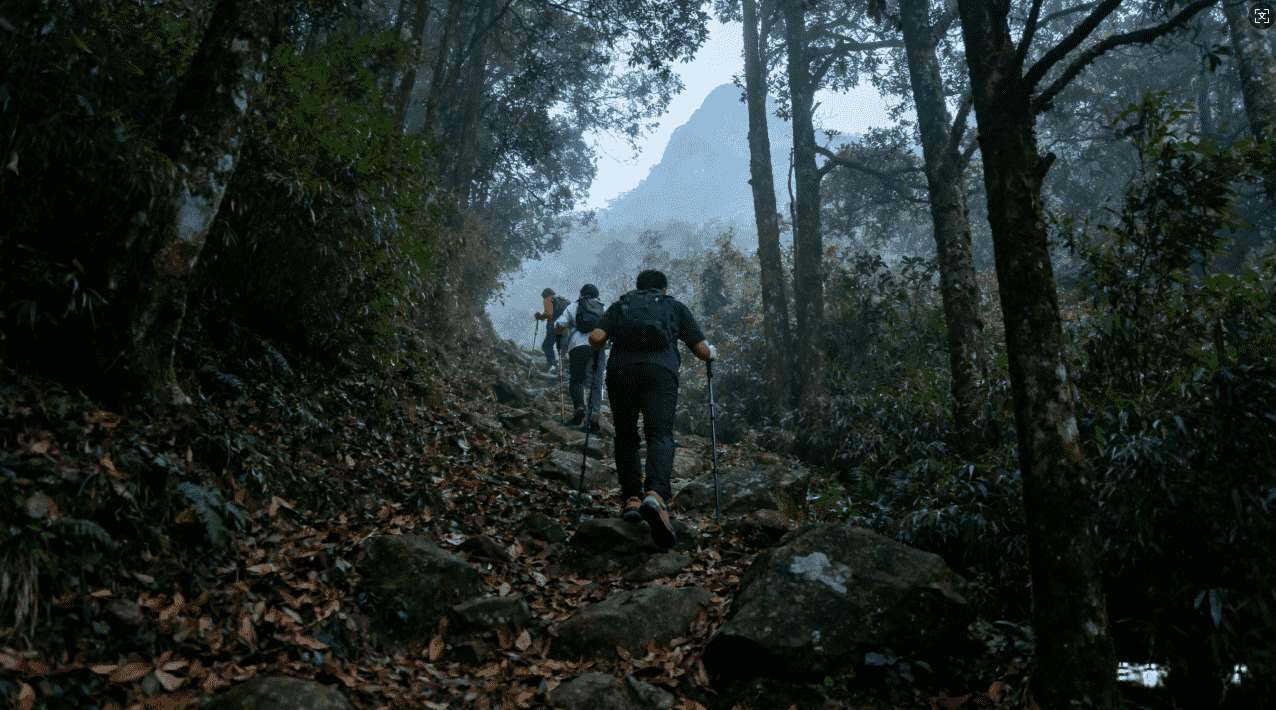 喵快加速器在游戏优化中的应用实践与显著优势分析